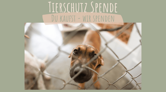 Pfote drauf - Tierschutz Spenden