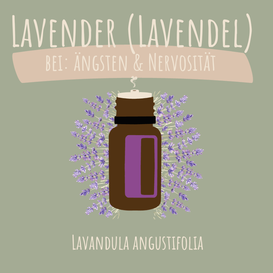 Lavendel - ätherisches Öl