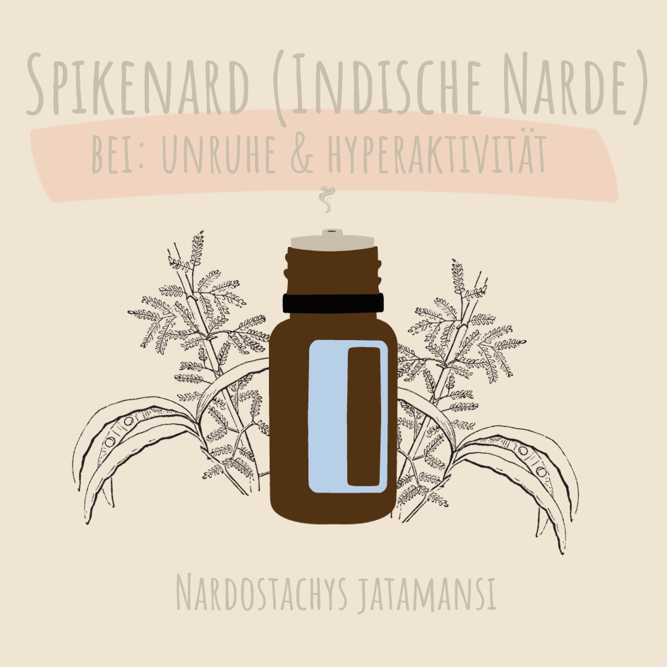 Indische Narde - ätherisches Öl
