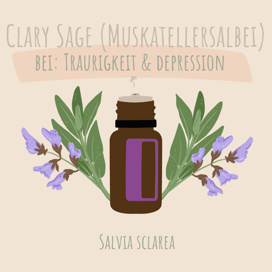 Muskatellersalbei - ätherisches Öl