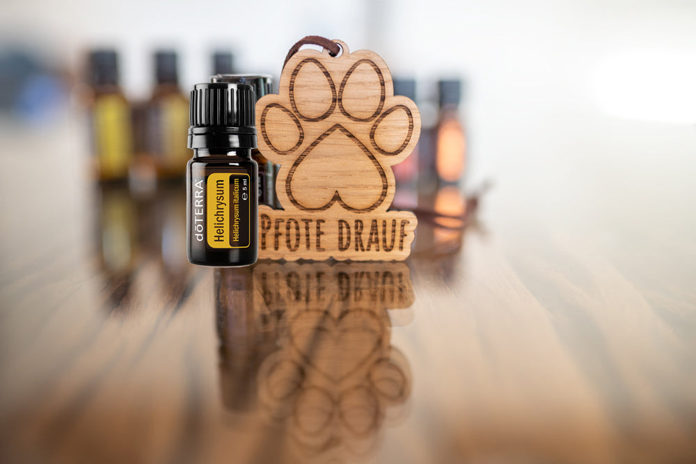 Strohblume - ätherisches Öl