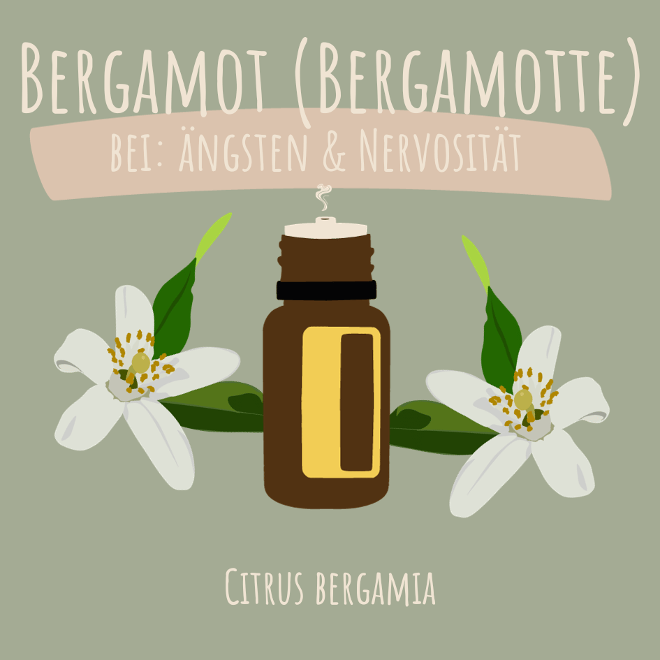 Bergamotte - ätherisches Öl