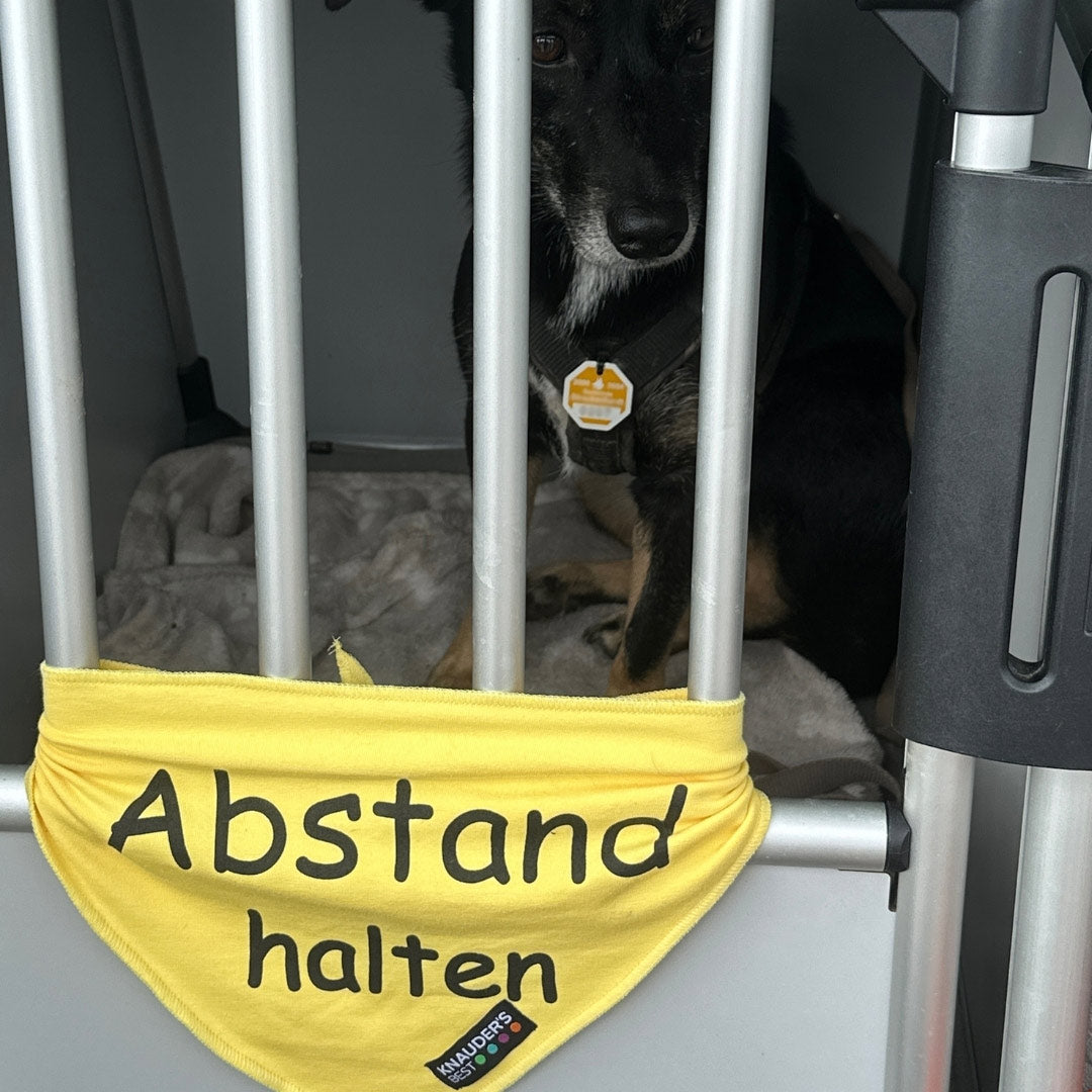Hunde-Halstuch - Bitte Abstand