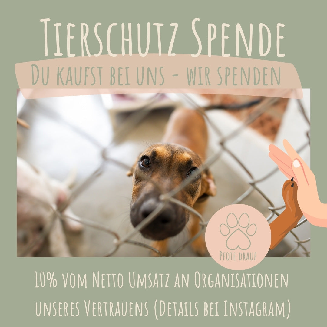 Leckerli Einstecktasche aus Korkleder (vegan) Blättermotiv
